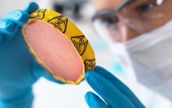 MODEL RELEASED. Female scientist holding petri dish with hazardous biological cultures.