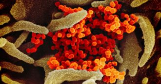 Omicron, il report Iss: “La variante di Sars Cov 2 ormai dominante in Italia. La versione Ba.2 è già al 44%