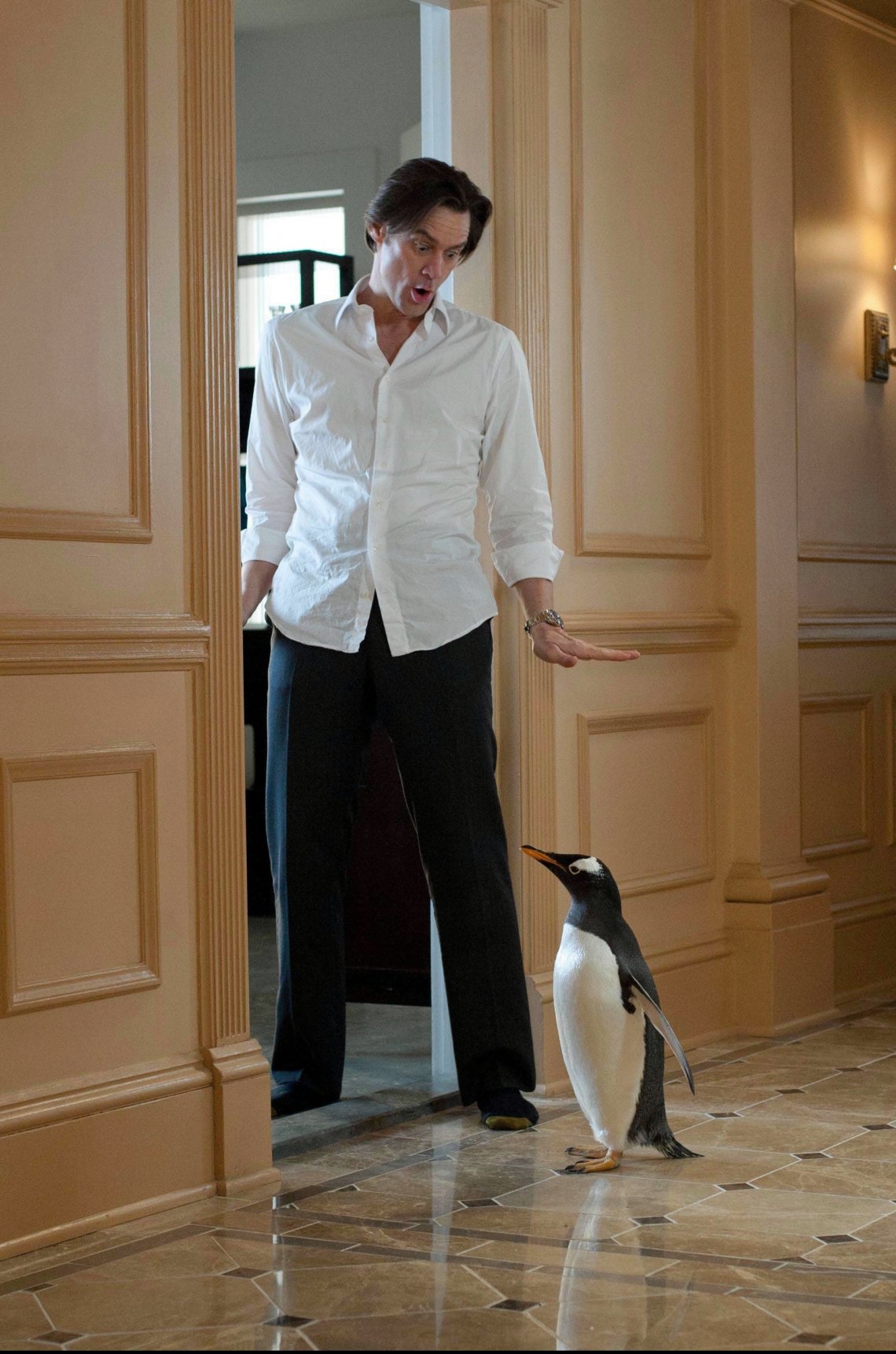 'I pinguini di Mr. Popper', 2011