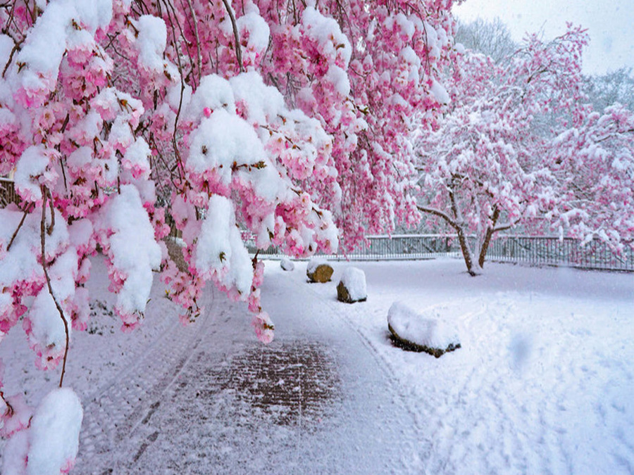 Torna la neve sull'Italia a quote via via più basse